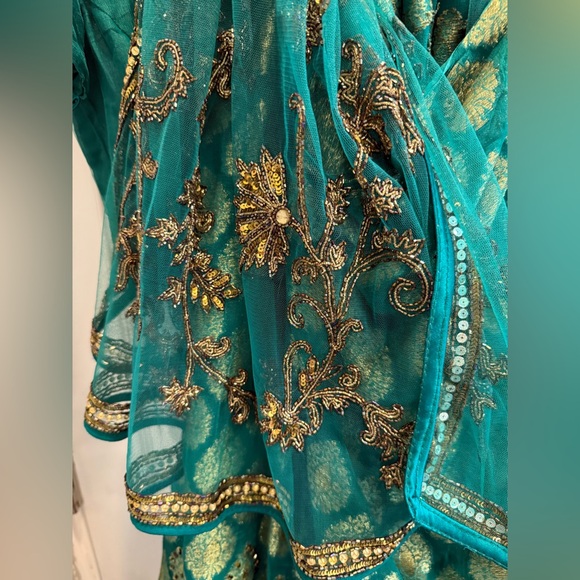 Frontier Green and Gold Saree with hand embroidery - Picture 17 of 17